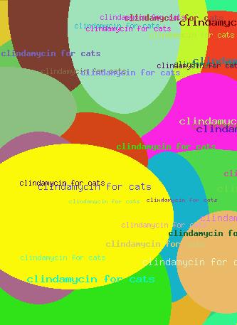 Clindamycin For Cats